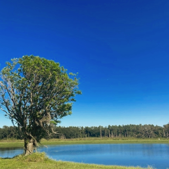 Meet your Posher, Vero - Picture 1 of 1